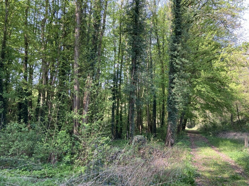 Accès carrossable depuis la rue des Barrages