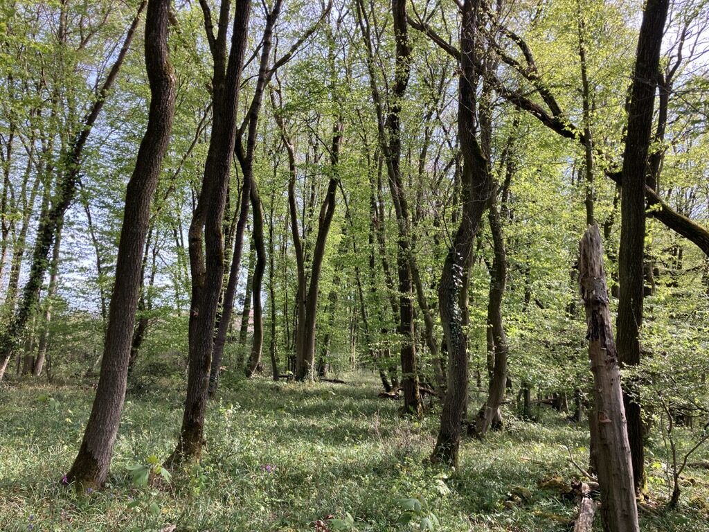 Zone haute, secteur de loisirs