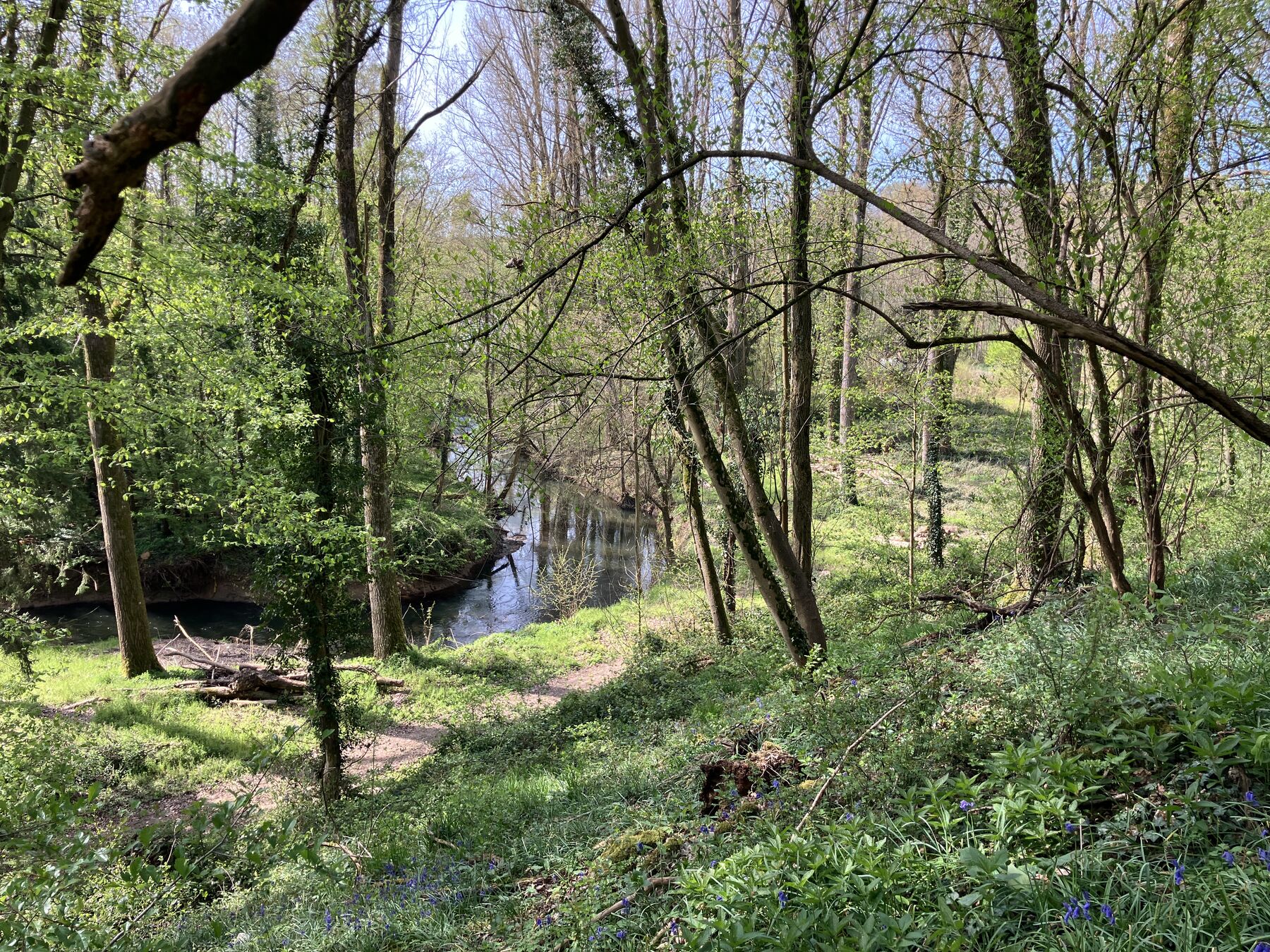 Lisière boisée du terrain au bord de l’Eau d’Heure